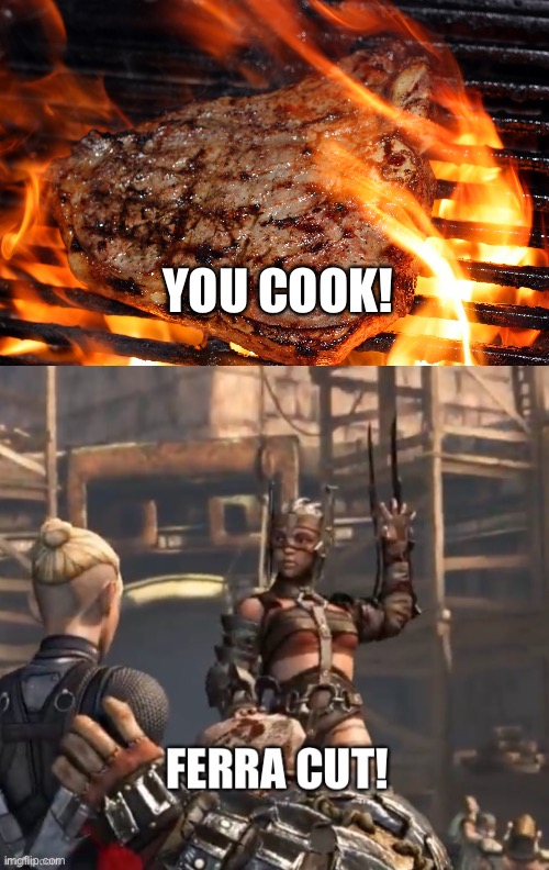 YOU COOK! | image tagged in steak,ferra cut | made w/ Imgflip meme maker