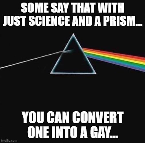 light in gay out | SOME SAY THAT WITH JUST SCIENCE AND A PRISM... YOU CAN CONVERT ONE INTO A GAY... | image tagged in light in gay out | made w/ Imgflip meme maker