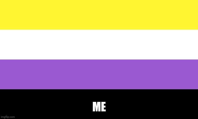 Nonbinary | ME | image tagged in nonbinary | made w/ Imgflip meme maker