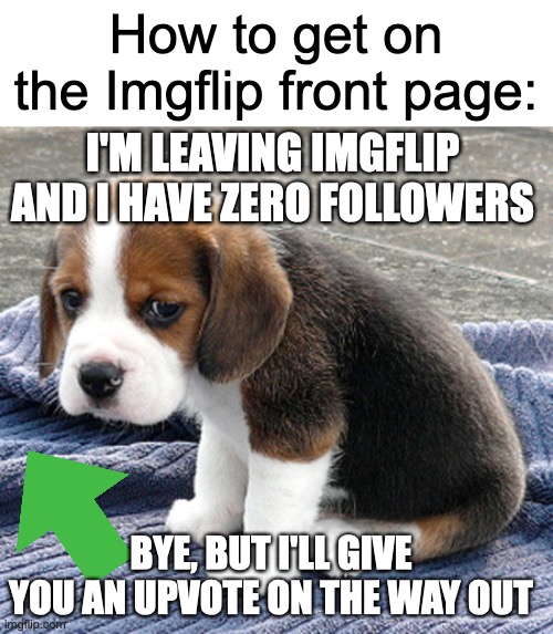 damn upvote beggars | How to get on the Imgflip front page:; I'M LEAVING IMGFLIP AND I HAVE ZERO FOLLOWERS; BYE, BUT I'LL GIVE YOU AN UPVOTE ON THE WAY OUT | image tagged in sad dog,upvote begging | made w/ Imgflip meme maker