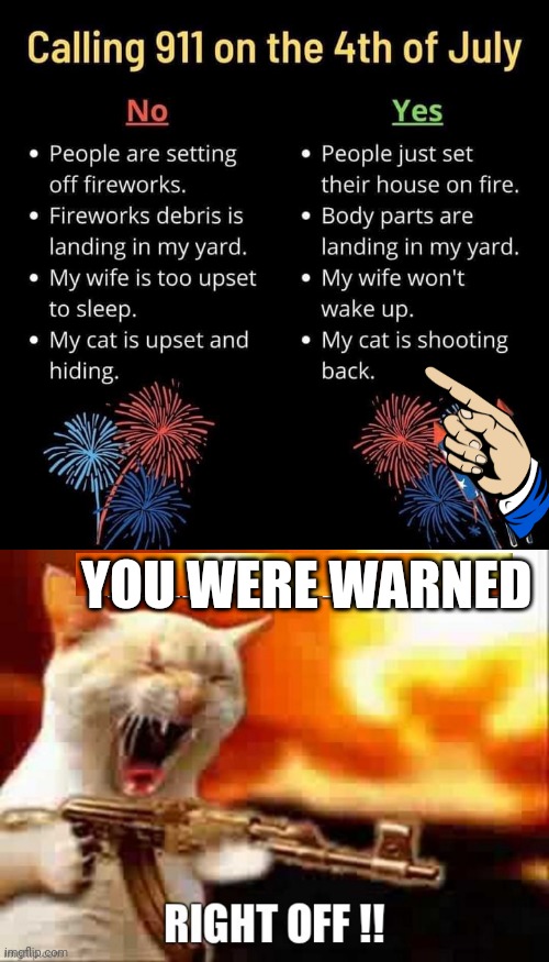 Calling 911 over fireworks | YOU WERE WARNED | image tagged in cats | made w/ Imgflip meme maker