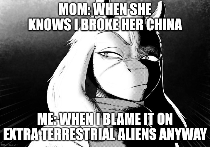 Toriel Death Stare | MOM: WHEN SHE KNOWS I BROKE HER CHINA; ME: WHEN I BLAME IT ON EXTRA TERRESTRIAL ALIENS ANYWAY | image tagged in toriel death stare | made w/ Imgflip meme maker