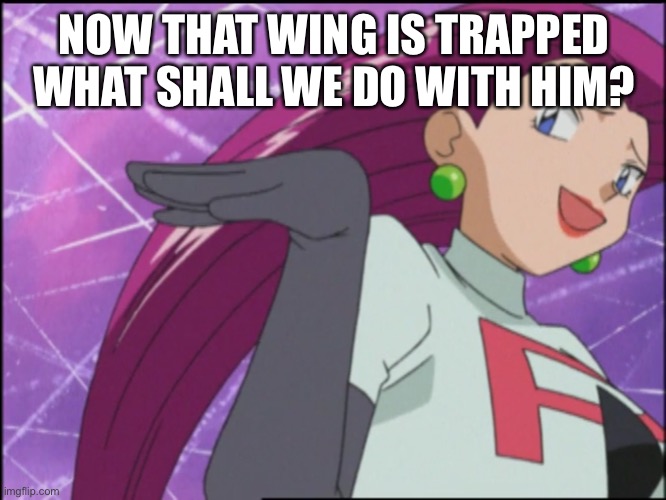 Jessie (Team Rocket) - Is He…You Know | NOW THAT WING IS TRAPPED WHAT SHALL WE DO WITH HIM? | image tagged in jessie team rocket - is he you know | made w/ Imgflip meme maker