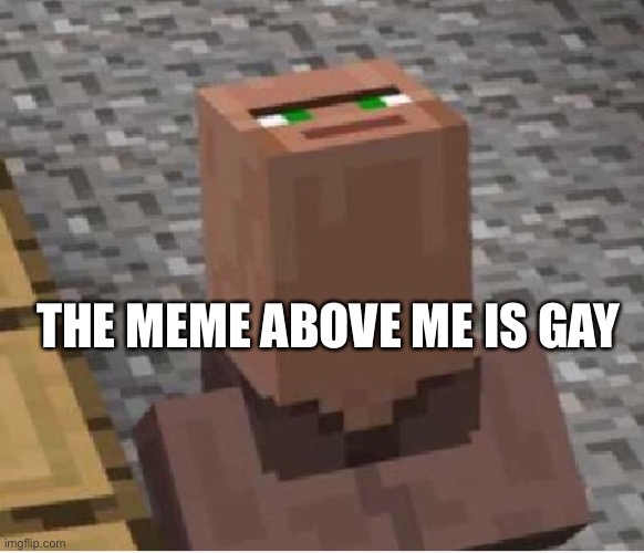 Minecraft Villager Looking Up | THE MEME ABOVE ME IS GAY | image tagged in minecraft villager looking up | made w/ Imgflip meme maker