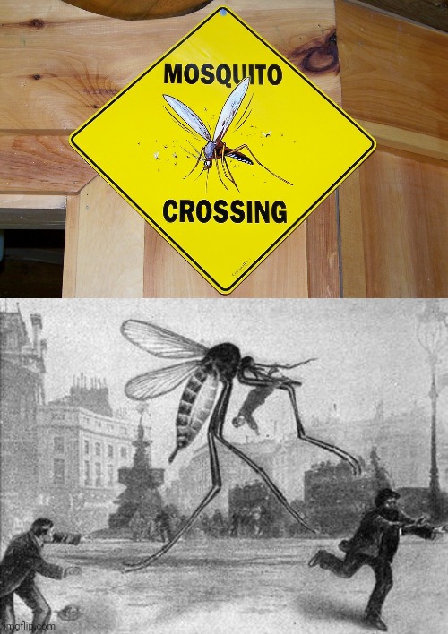 Mosquito crossing | image tagged in mosquito attack,mosquitoes,mosquito,funny signs,memes,meme | made w/ Imgflip meme maker