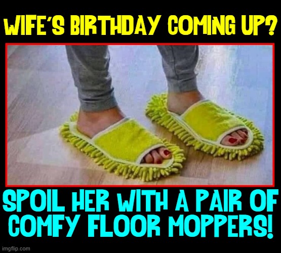 Your Wife is Worth It~! |  WIFE'S BIRTHDAY COMING UP? SPOIL HER WITH A PAIR OF
COMFY FLOOR MOPPERS! | image tagged in vince vance,memes,mops,bad presents,slippers,valentine's day | made w/ Imgflip meme maker