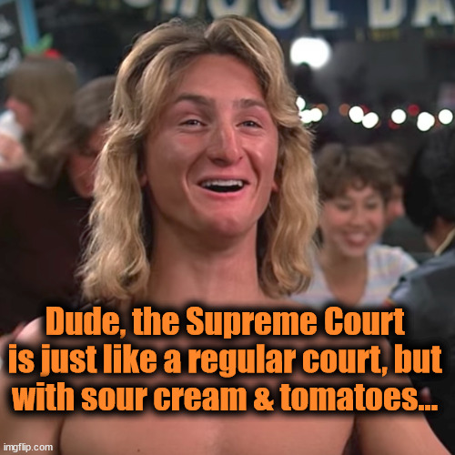 Court Supreme | Dude, the Supreme Court
is just like a regular court, but
with sour cream & tomatoes... | image tagged in spicoli is always right,supreme court,spicoli | made w/ Imgflip meme maker