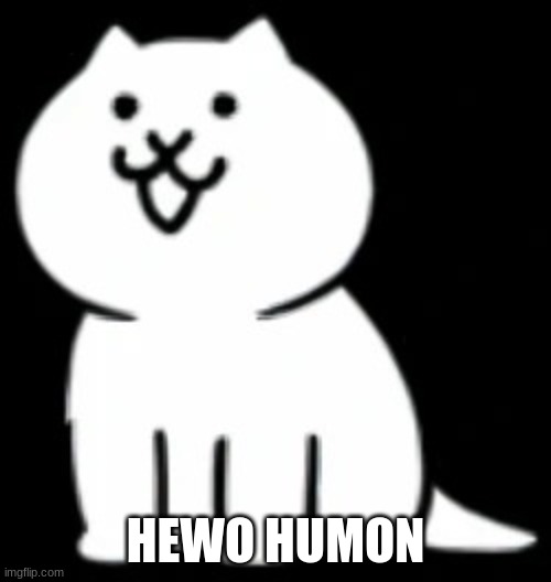 hewo | HEWO HUMON | image tagged in modern cat,cat,cute,memes,funny,hewo | made w/ Imgflip meme maker
