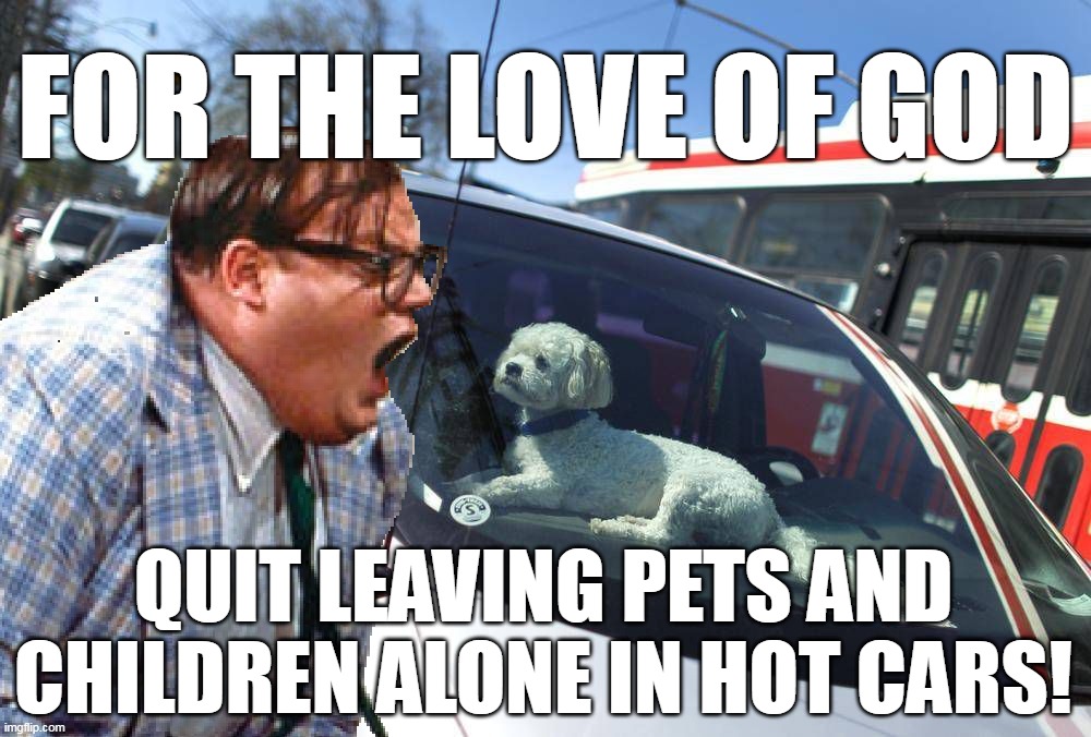So Much Cruelty, Happening More and More |  FOR THE LOVE OF GOD; QUIT LEAVING PETS AND CHILDREN ALONE IN HOT CARS! | image tagged in meme,memes,chris farley for the love of god,summer,pets,children | made w/ Imgflip meme maker