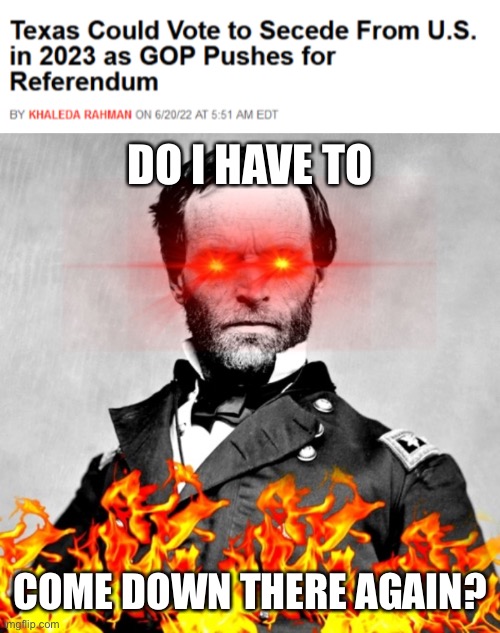 DO I HAVE TO; COME DOWN THERE AGAIN? | image tagged in william tecumseh sherman | made w/ Imgflip meme maker