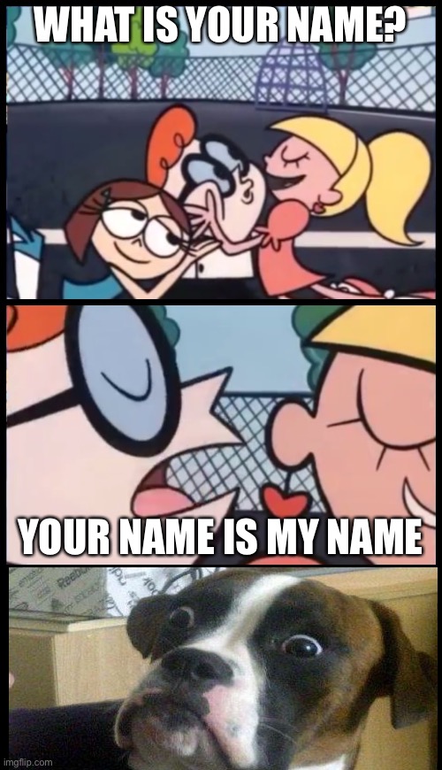 Whoops | WHAT IS YOUR NAME? YOUR NAME IS MY NAME | image tagged in memes,say it again dexter,original i lied,aaaaand its gone | made w/ Imgflip meme maker