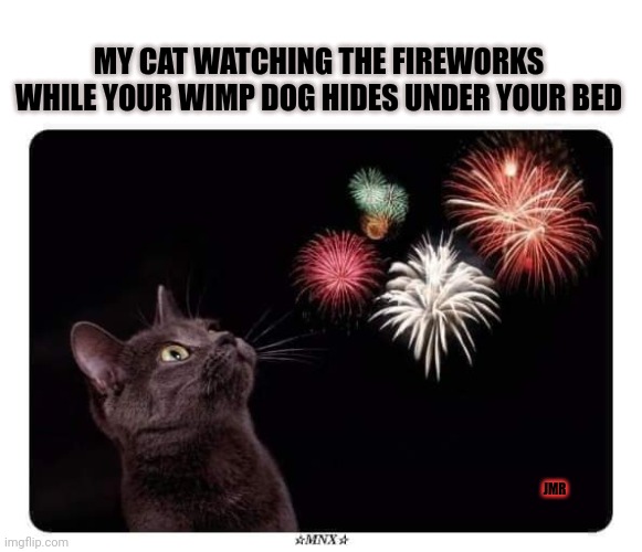 Facts |  MY CAT WATCHING THE FIREWORKS WHILE YOUR WIMP DOG HIDES UNDER YOUR BED; JMR | image tagged in cats,july 4th,fireworks | made w/ Imgflip meme maker
