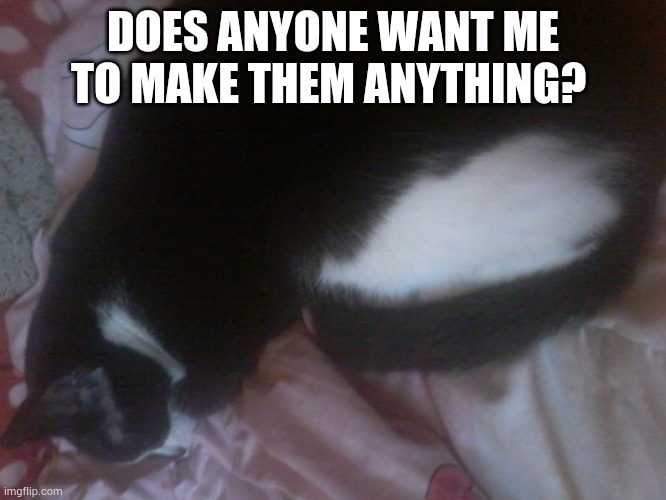 Kitten temp | DOES ANYONE WANT ME TO MAKE THEM ANYTHING? | image tagged in kitten temp | made w/ Imgflip meme maker