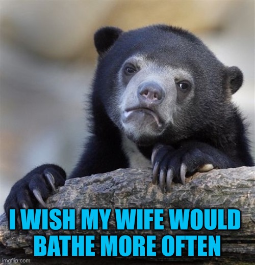 confession-bear-meme-imgflip