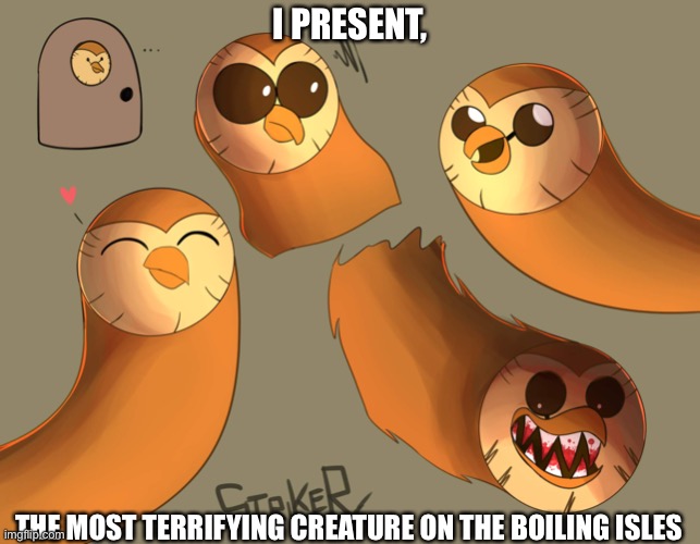 AM.I.WRONG??? | I PRESENT, THE MOST TERRIFYING CREATURE ON THE BOILING ISLES | image tagged in the owl house | made w/ Imgflip meme maker