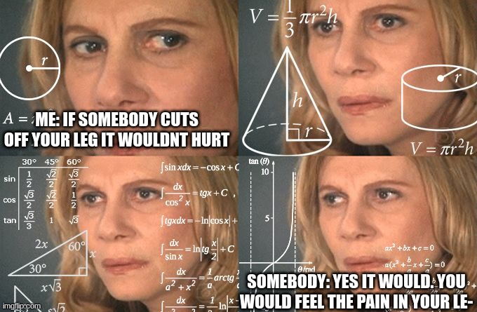 think about it | ME: IF SOMEBODY CUTS OFF YOUR LEG IT WOULDNT HURT; SOMEBODY: YES IT WOULD. YOU WOULD FEEL THE PAIN IN YOUR LE- | image tagged in calculating meme | made w/ Imgflip meme maker