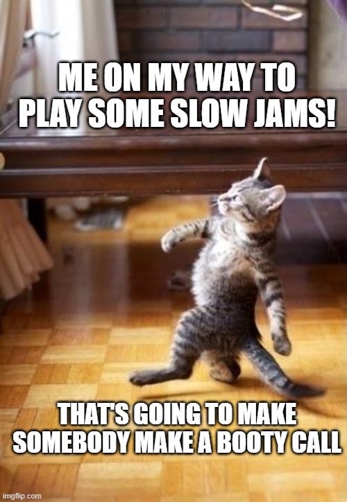 Cool Cat Slow Jamz Meme | ME ON MY WAY TO PLAY SOME SLOW JAMS! THAT'S GOING TO MAKE SOMEBODY MAKE A BOOTY CALL | image tagged in memes,cool cat stroll | made w/ Imgflip meme maker