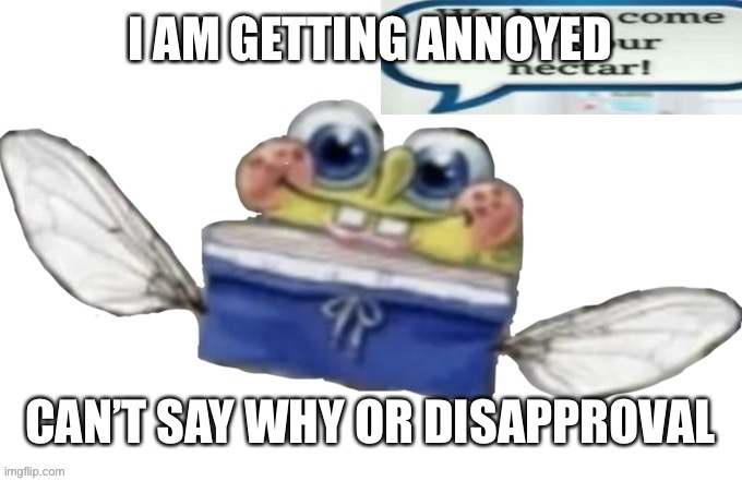 SpongeBob nectar | I AM GETTING ANNOYED; CAN’T SAY WHY OR DISAPPROVAL | image tagged in spongebob nectar | made w/ Imgflip meme maker