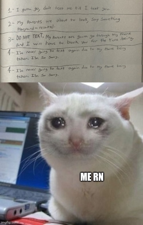 NOOOOOOOOOOOOOOOOOOOOOOOOO | ME RN | image tagged in crying cat | made w/ Imgflip meme maker