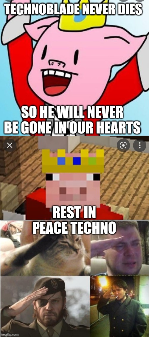 Salute to techno | TECHNOBLADE NEVER DIES; SO HE WILL NEVER BE GONE IN OUR HEARTS; REST IN PEACE TECHNO | image tagged in sad,ozon's salute | made w/ Imgflip meme maker