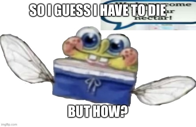 SpongeBob nectar | SO I GUESS I HAVE TO DIE; BUT HOW? | image tagged in spongebob nectar | made w/ Imgflip meme maker