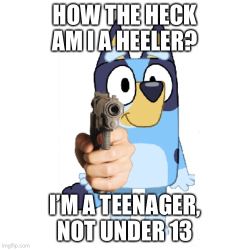Bluey Has A Gun | HOW THE HECK AM I A HEELER? I’M A TEENAGER, NOT UNDER 13 | image tagged in bluey has a gun | made w/ Imgflip meme maker