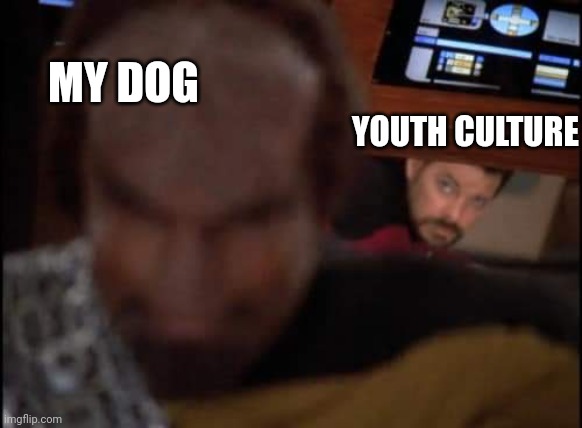 TMBG Riker & Worf | MY DOG; YOUTH CULTURE | image tagged in star trek the next generation | made w/ Imgflip meme maker