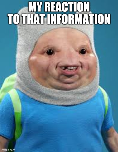 MY REACTION TO THAT INFORMATION | image tagged in new template | made w/ Imgflip meme maker