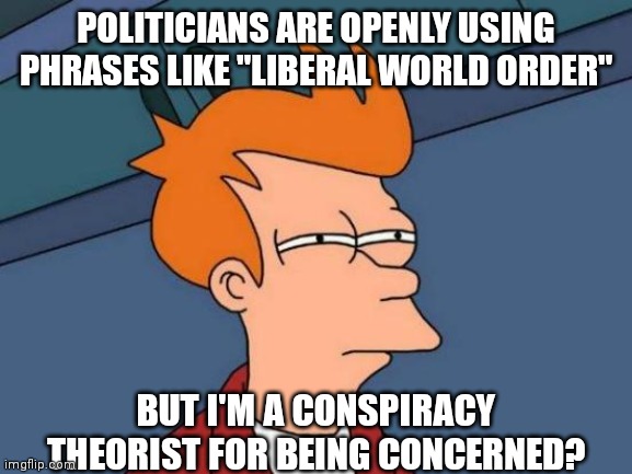 They're not even hiding their globalist agenda, yet they pretend we're crazy for noticing | POLITICIANS ARE OPENLY USING PHRASES LIKE "LIBERAL WORLD ORDER"; BUT I'M A CONSPIRACY THEORIST FOR BEING CONCERNED? | image tagged in memes,futurama fry | made w/ Imgflip meme maker