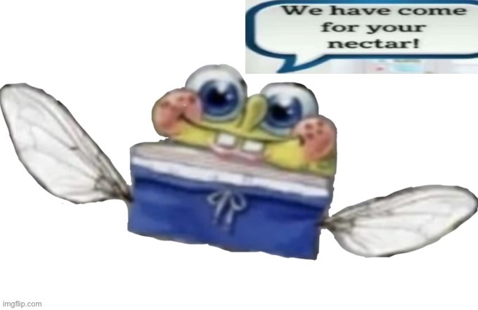SpongeBob nectar | image tagged in spongebob nectar | made w/ Imgflip meme maker