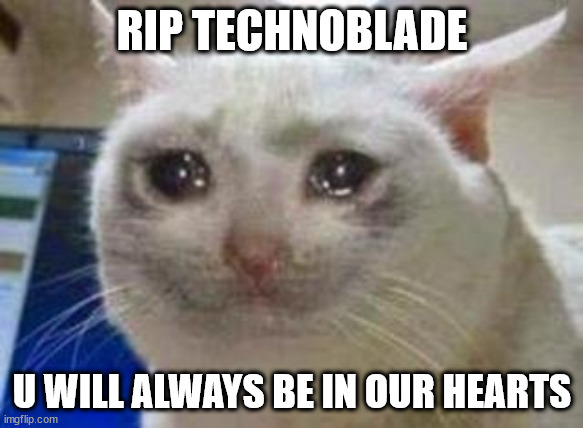 Sad cat | RIP TECHNOBLADE; U WILL ALWAYS BE IN OUR HEARTS | image tagged in sad cat | made w/ Imgflip meme maker
