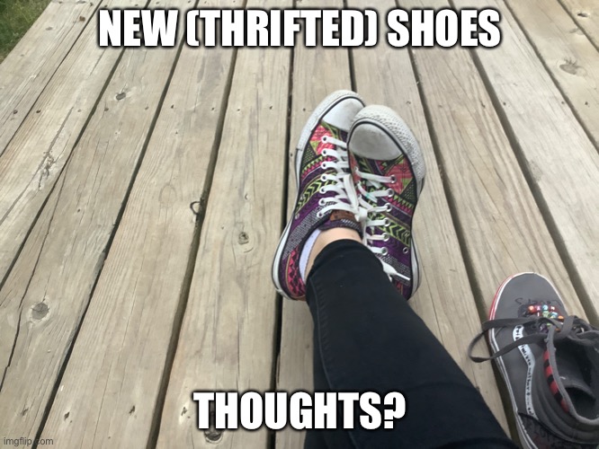  NEW (THRIFTED) SHOES; THOUGHTS? | made w/ Imgflip meme maker