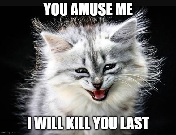 amused kitten | YOU AMUSE ME; I WILL KILL YOU LAST | image tagged in amused,kitten | made w/ Imgflip meme maker