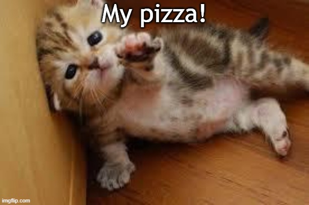 Used in comment | My pizza! | image tagged in sad kitten goodbye | made w/ Imgflip meme maker