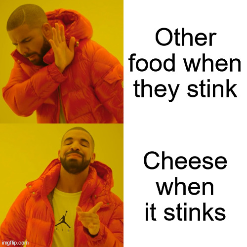 Stinky food | Other food when they stink; Cheese when it stinks | image tagged in memes,drake hotline bling | made w/ Imgflip meme maker