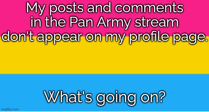Link in comment. | My posts and comments in the Pan Army stream don't appear on my profile page. What's going on? | image tagged in pansexual flag,glitch,new stream,something's wrong i can feel it,imgflip news | made w/ Imgflip meme maker