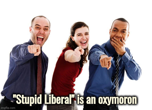 People laughing at you | "Stupid Liberal" is an oxymoron | image tagged in people laughing at you | made w/ Imgflip meme maker