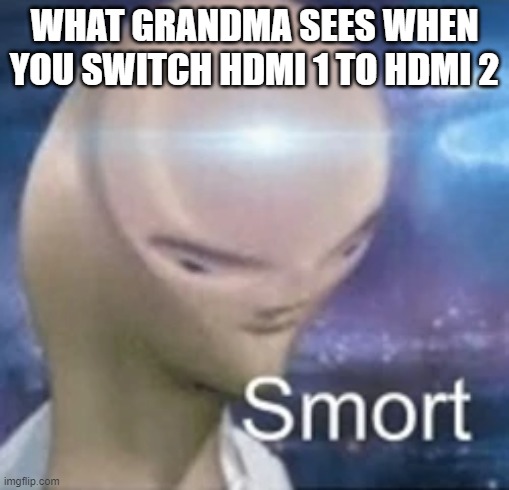 Smort | WHAT GRANDMA SEES WHEN YOU SWITCH HDMI 1 TO HDMI 2 | image tagged in memes | made w/ Imgflip meme maker