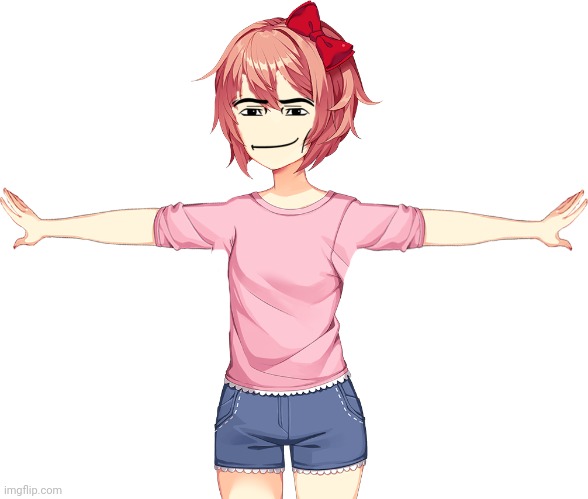 T-pose | image tagged in t-pose | made w/ Imgflip meme maker