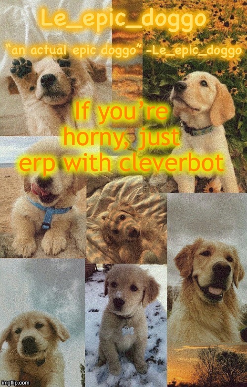 Doggo temp by doggo. Wait what that’s confusing | If you’re horny, just erp with cleverbot | image tagged in doggo temp by doggo wait what that s confusing | made w/ Imgflip meme maker