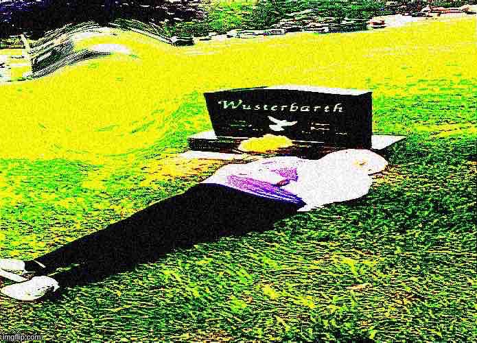 Deep fried Wusterbarth | image tagged in wusterbarth,deep fried | made w/ Imgflip meme maker