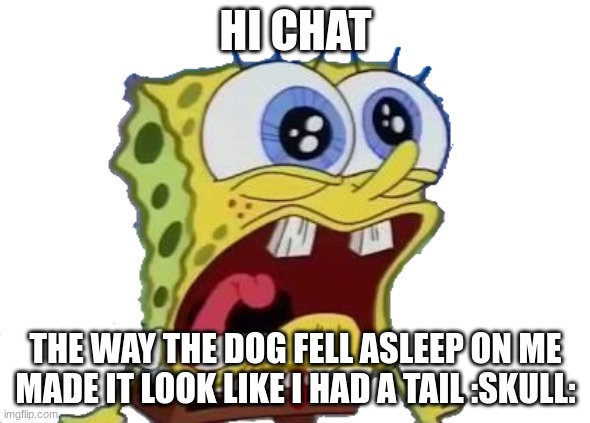 Spongebob Screaming and Crying PNG | HI CHAT; THE WAY THE DOG FELL ASLEEP ON ME MADE IT LOOK LIKE I HAD A TAIL :SKULL: | image tagged in spongebob screaming and crying png | made w/ Imgflip meme maker