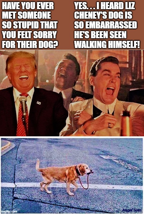 Trump Good Fellas And Dog Walking Himself Imgflip