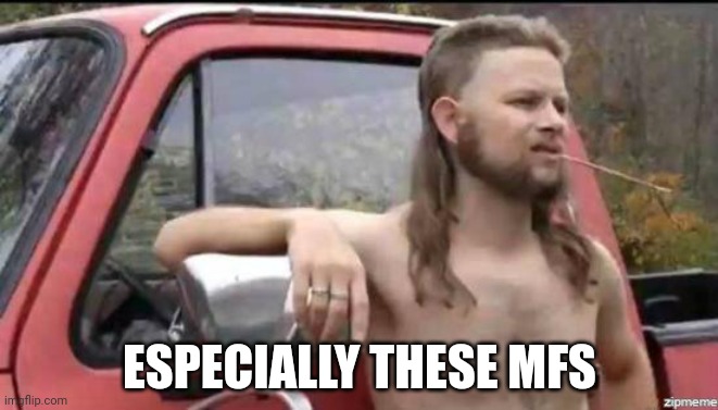 almost politically correct redneck | ESPECIALLY THESE MFS | image tagged in almost politically correct redneck | made w/ Imgflip meme maker