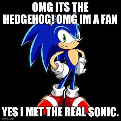 when i met sonic… | OMG ITS THE HEDGEHOG! OMG IM A FAN; YES I MET THE REAL SONIC. | image tagged in memes,you're too slow sonic | made w/ Imgflip meme maker