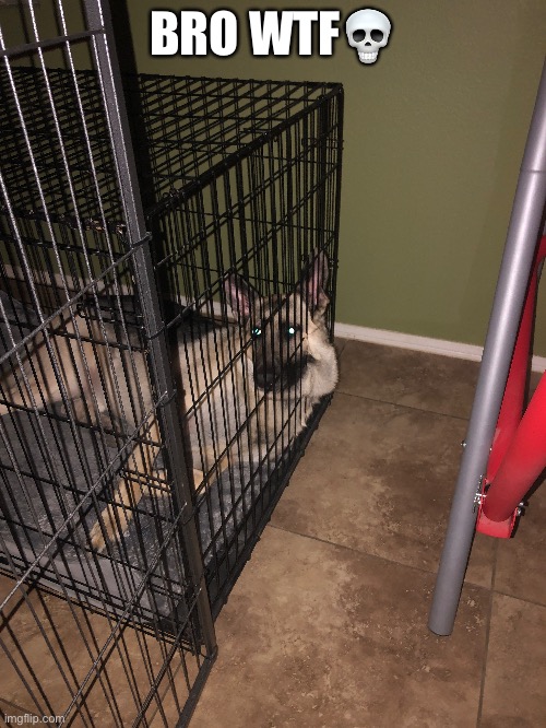 BRO WTF💀 | made w/ Imgflip meme maker