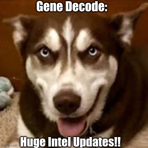 Gene Decode: Huge Intel Updates!! (Video)