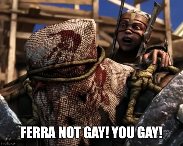 Ferra/Torr | FERRA NOT GAY! YOU GAY! | image tagged in ferra/torr | made w/ Imgflip meme maker
