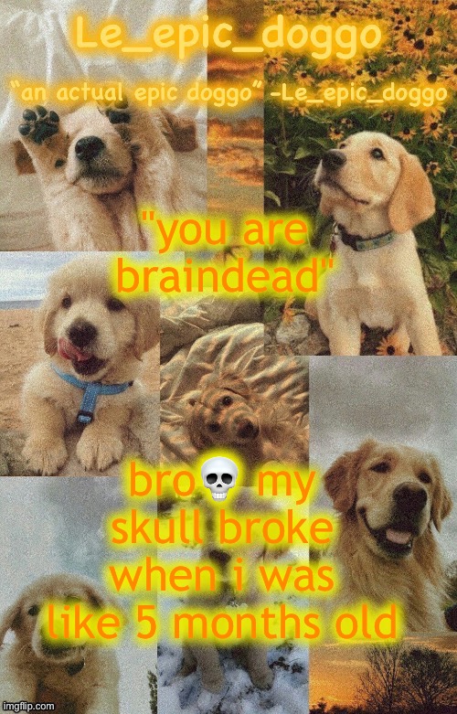 Doggo temp by doggo. Wait what that’s confusing | "you are braindead"; bro💀 my skull broke when i was like 5 months old | image tagged in doggo temp by doggo wait what that s confusing | made w/ Imgflip meme maker