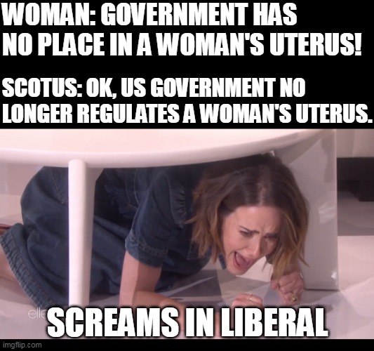 US Gvt No Longer Regulates Uterus | WOMAN: GOVERNMENT HAS NO PLACE IN A WOMAN'S UTERUS! SCOTUS: OK, US GOVERNMENT NO LONGER REGULATES A WOMAN'S UTERUS. SCREAMS IN LIBERAL | image tagged in screams in | made w/ Imgflip meme maker